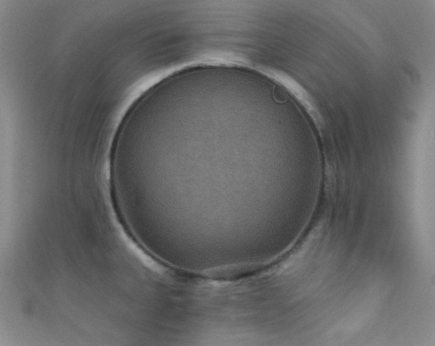 X0000111421335200907131154