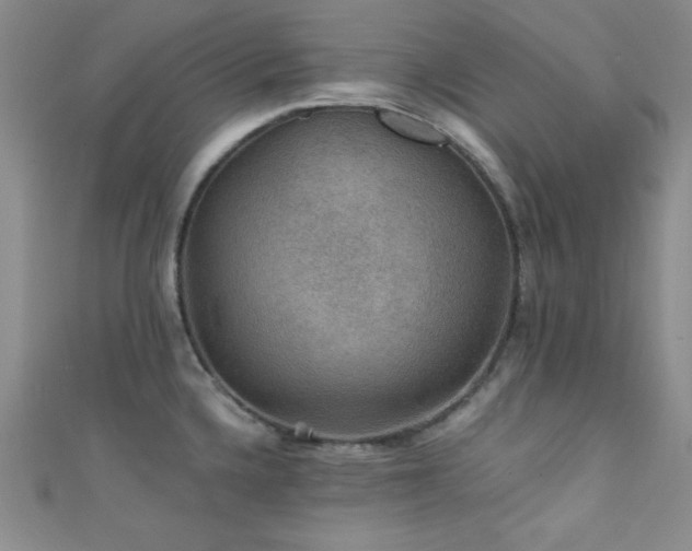 X0000111421336200907131154