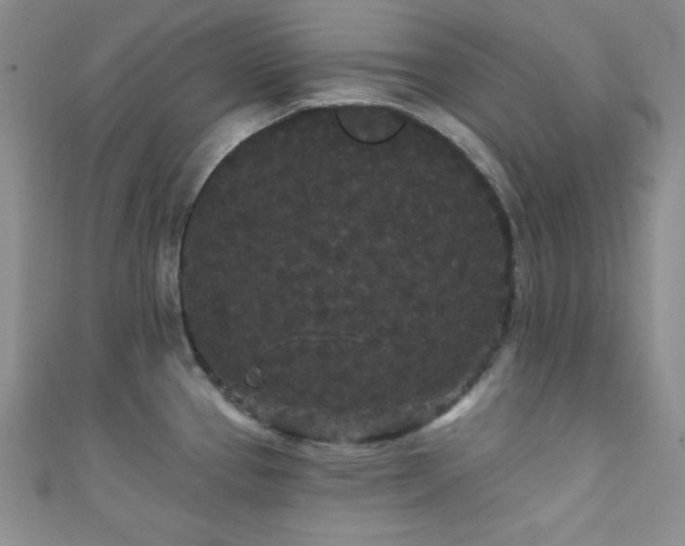 X0000111421337200907131154