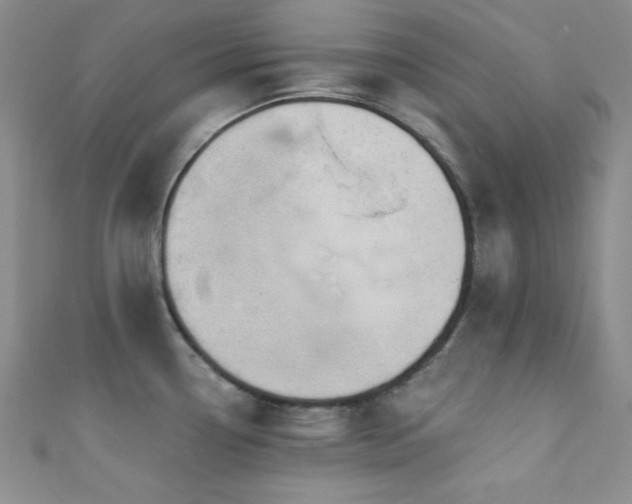 X0000111421338200907131154