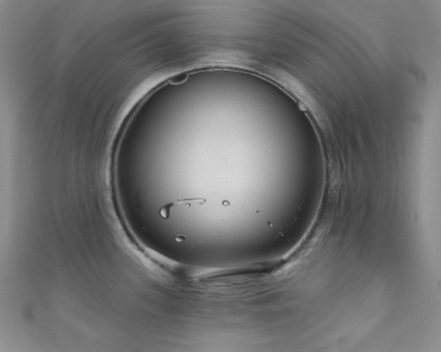 X0000111421339200907131154