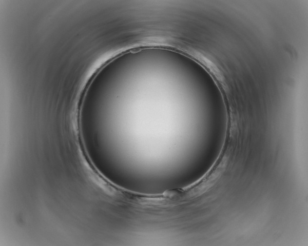 X0000111421342200907131154