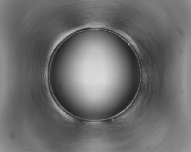 X0000111421343200907131154
