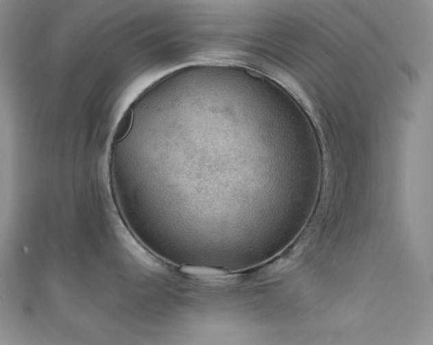 X0000111421344200907131154