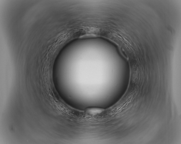 X0000111421345200907131154