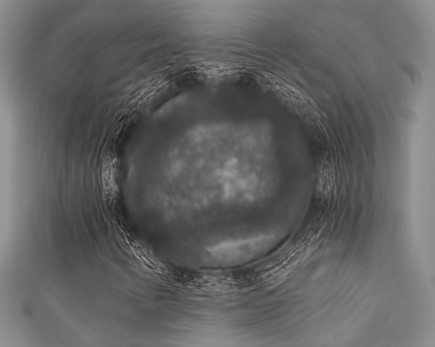 X0000111421346200907131154