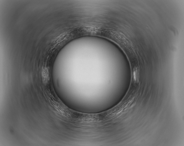 X0000111421347200907131154