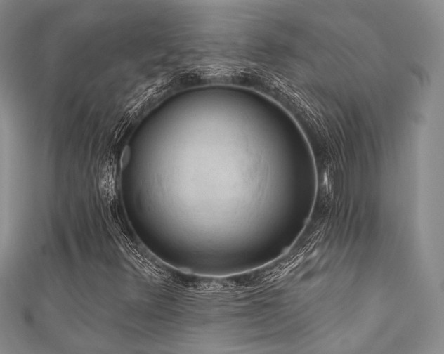 X0000111421348200907131153