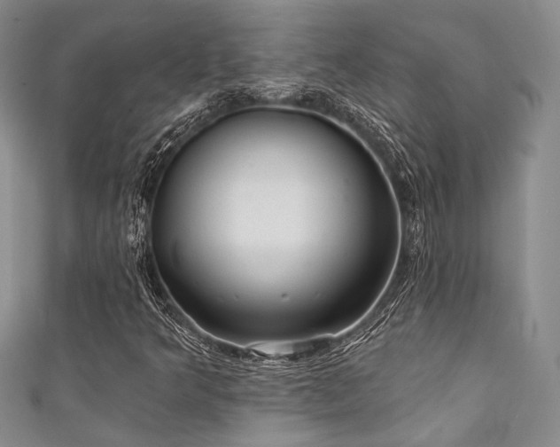 X0000111421349200907131153