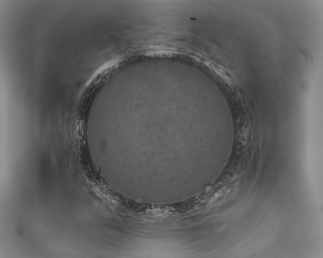 X0000111421351200907131153