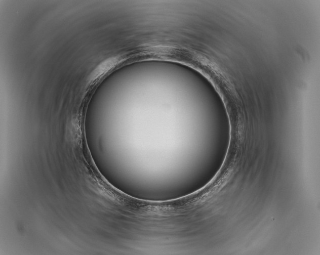 X0000111421354200907131153