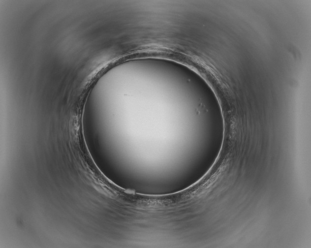 X0000111421355200907131153