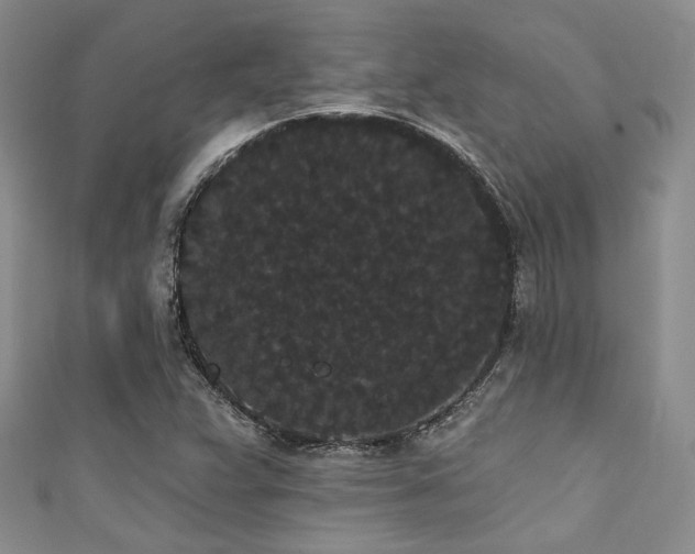 X0000111421359200907131153