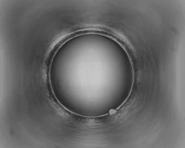 X0000111421360200907131153