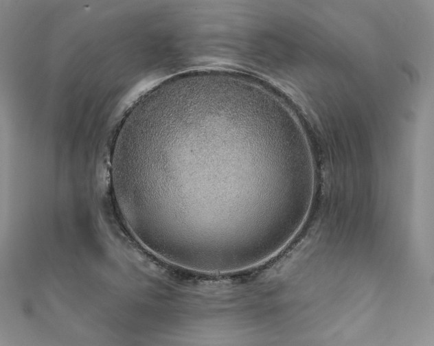 X0000111421363200907131153