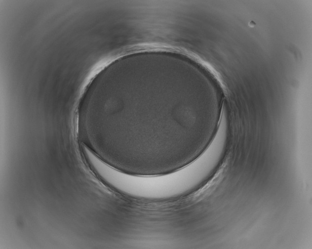 X0000111421365200907131153