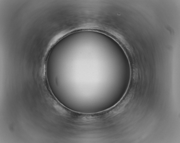X0000111421366200907131153