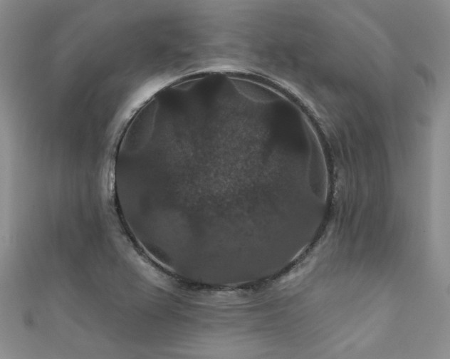 X0000111421367200907131153