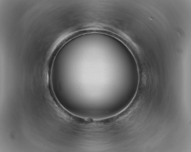 X0000111421368200907131153