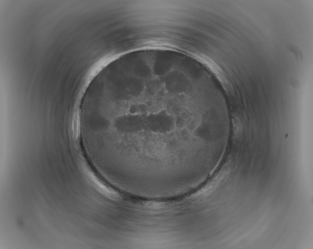 X0000111421371200907131153