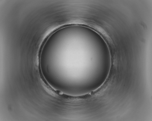X0000111421372200907131153