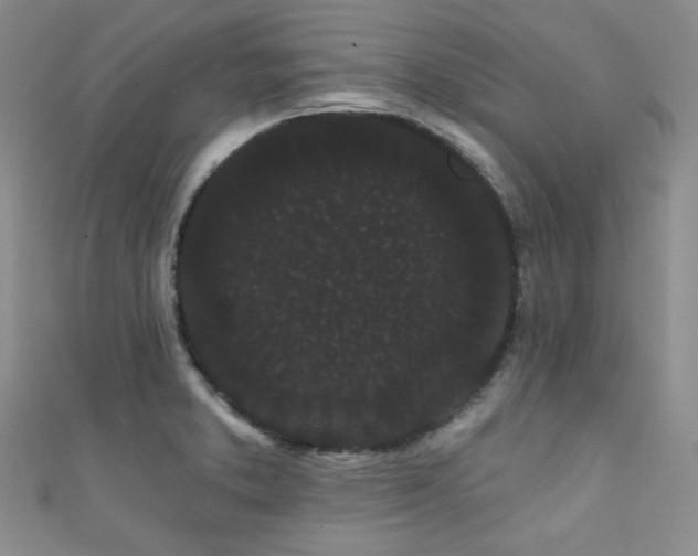 X0000111421373200907131153