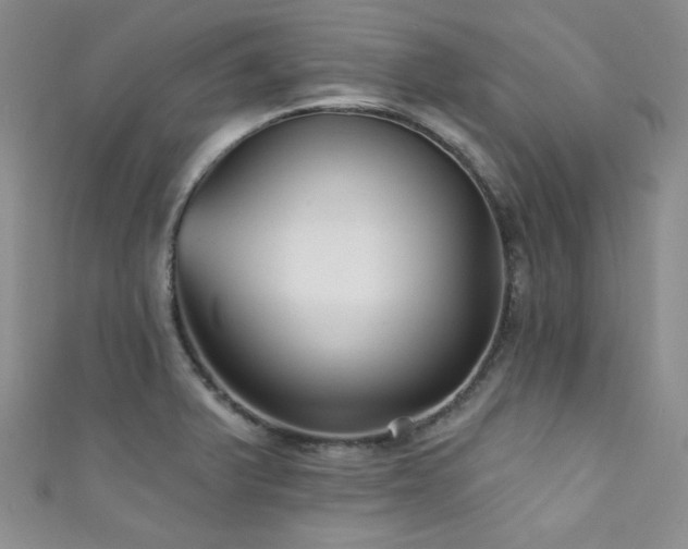 X0000111421375200907131153