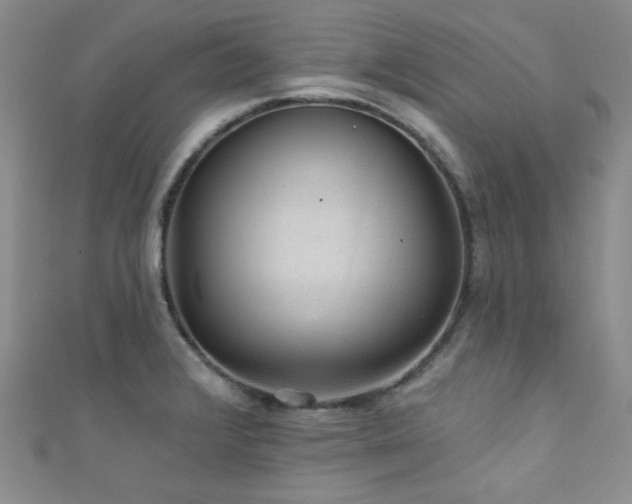 X0000111421376200907131153