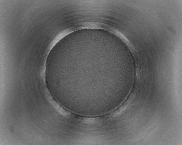 X0000111421378200907131153