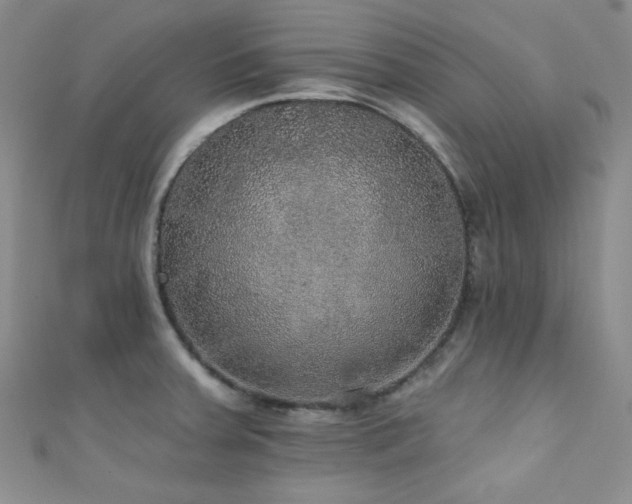 X0000111421379200907131153