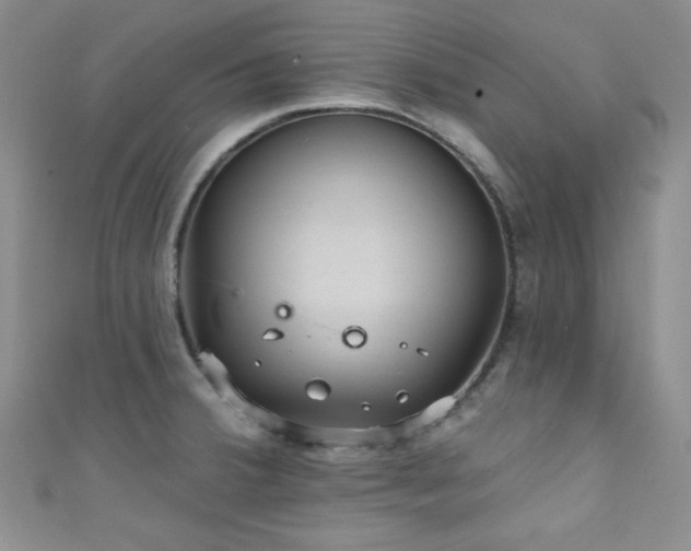 X0000111421380200907131153