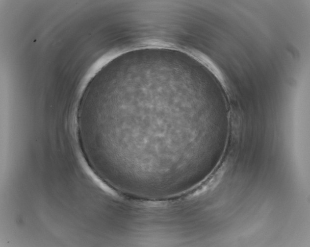 X0000111421381200907131153