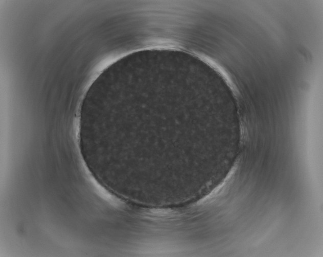 X0000111421383200907131153