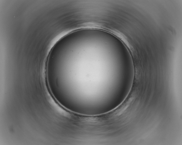 X0000111421387200907131153
