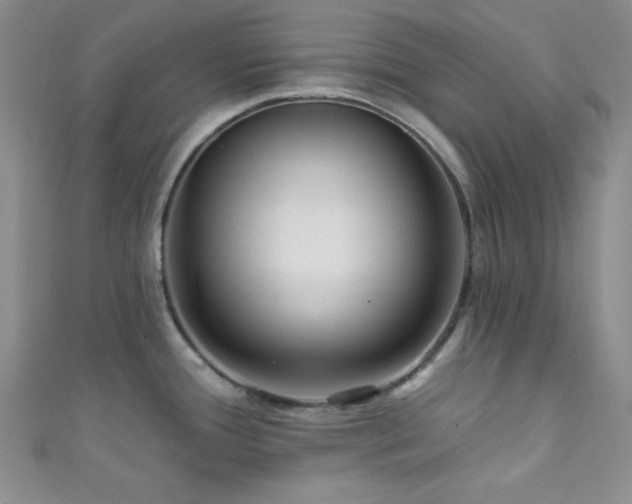 X0000111421388200907131153