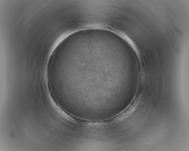 X0000111421389200907131153