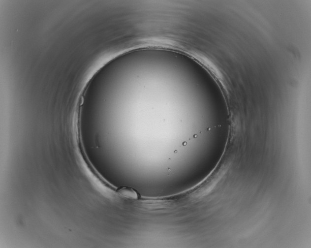 X0000111421391200907131153