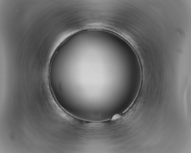 X0000111421392200907131153
