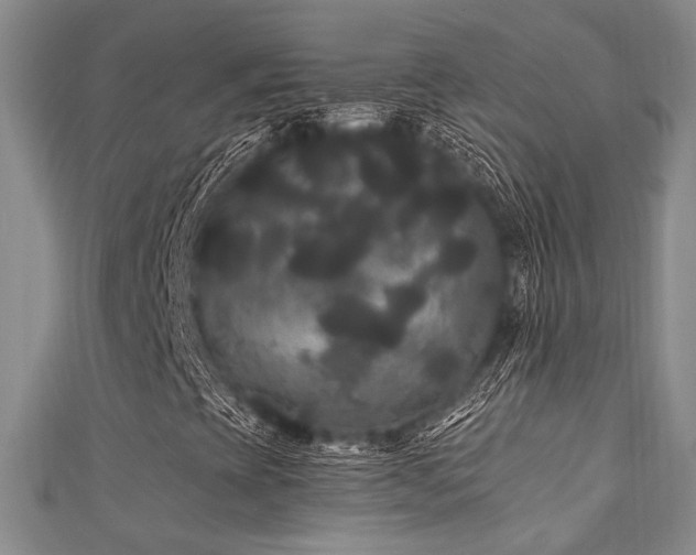 X0000111421393200907131152