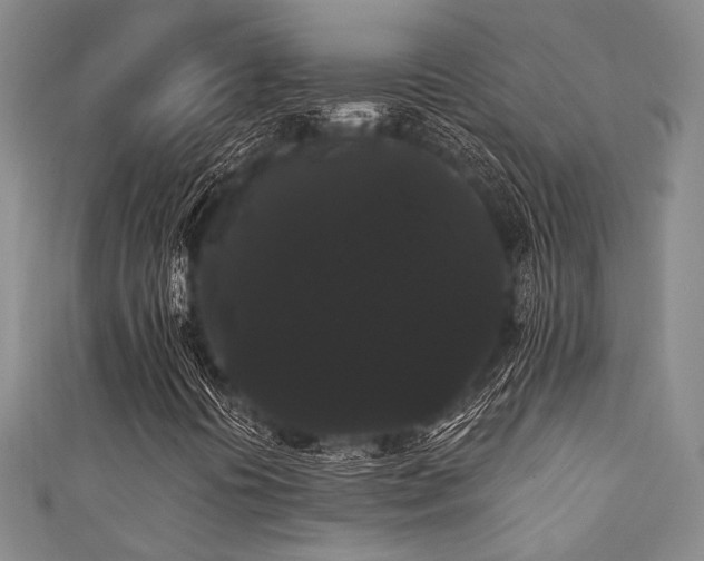 X0000111421394200907131152