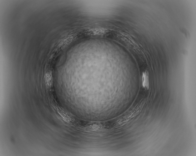 X0000111421395200907131152