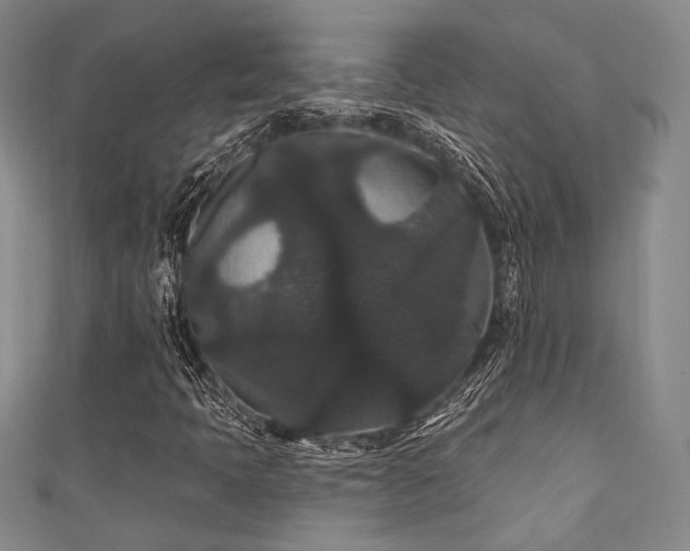 X0000111421397200907131152
