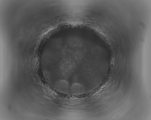 X0000111421398200907131152