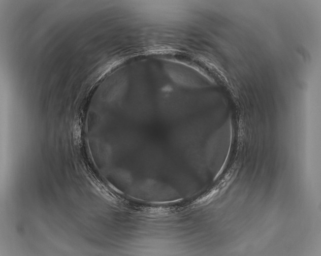 X0000111421401200907131152