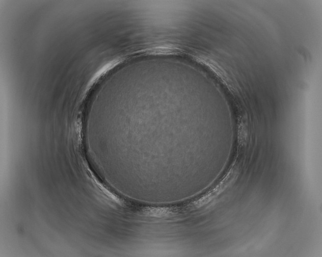 X0000111421402200907131152