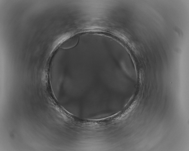 X0000111421405200907131152