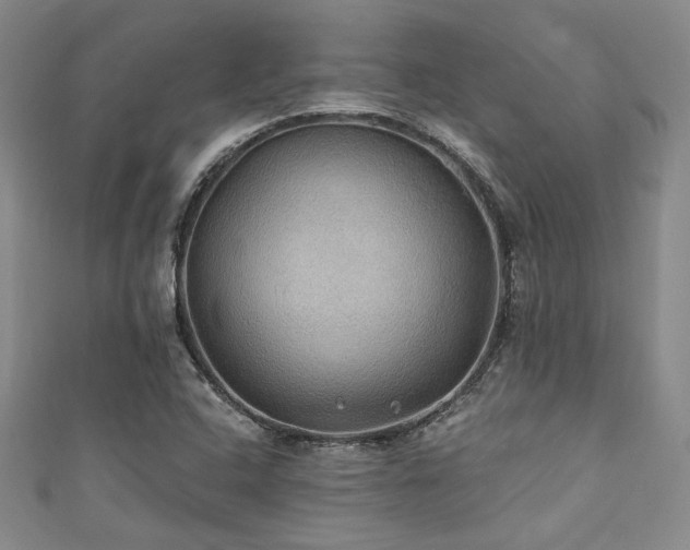 X0000111421408200907131153