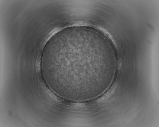 X0000111421409200907131153