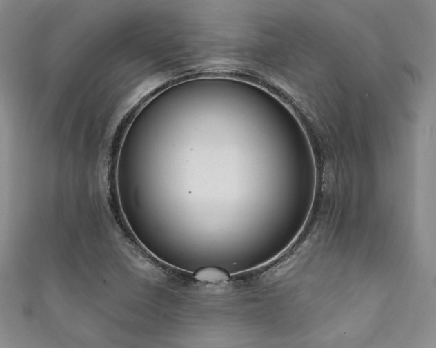 X0000111421410200907131153