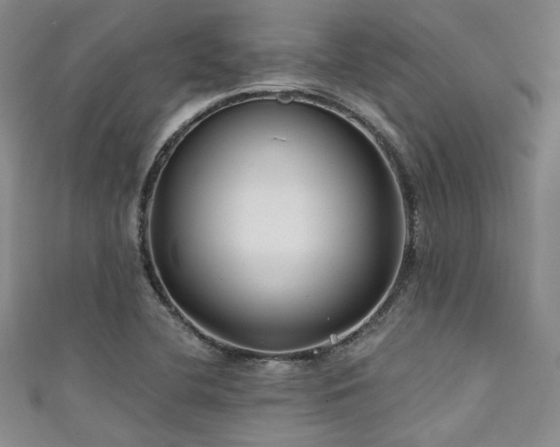 X0000111421412200907131153